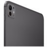 Apple iPad Pro (M5, 2025) 11" Wi-Fi + Cellular NT 2TB, Space Black, Black