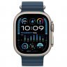 Apple Watch Ultra 2 GPS + Cellular, 49 mm, Titanium case, Ocean Blue strap, MRF73