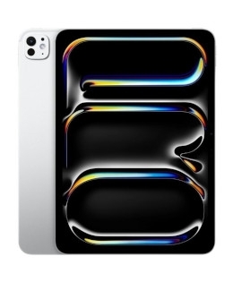 iPad Pro 11